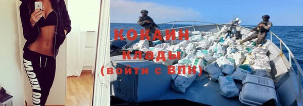 мяу мяу мука Аркадак