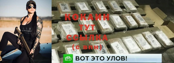 мяу мяу мука Аркадак