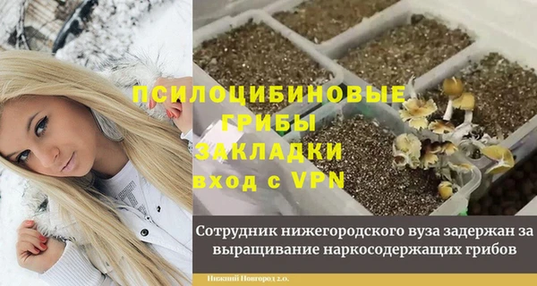 дурь Арсеньев