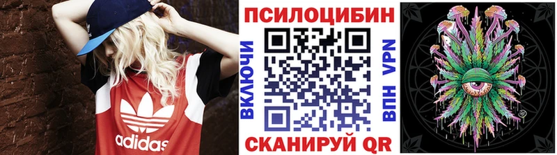 Псилоцибиновые грибы мухоморы  kraken сайт  сайты даркнета состав  как найти закладки  Пустошка 